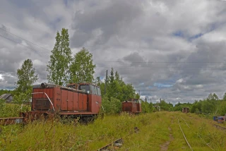 Буйский леспромхоз