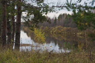  Природные пейзажи