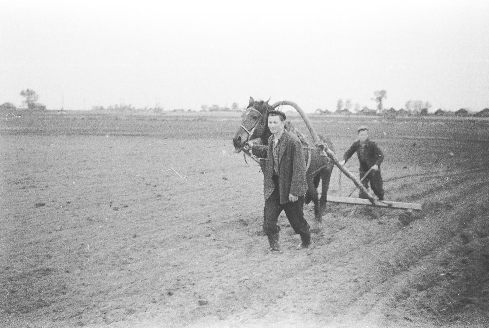 Колхозники в поле