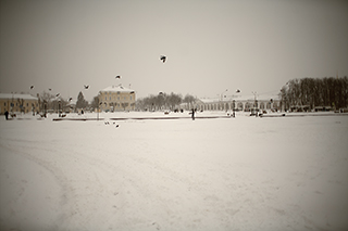 Сквер на площади Сусанина зимой